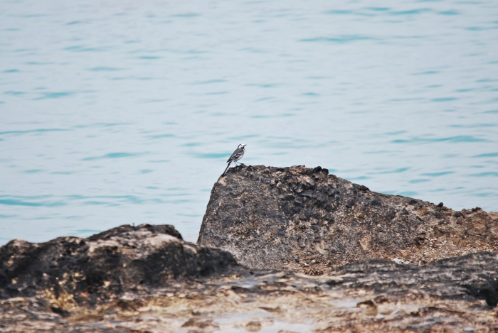 Otranto e dintorni